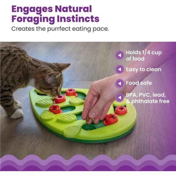 Buggin Out Puzzle & Play – Interactive Treat Puzzle - Picture 4 of 7